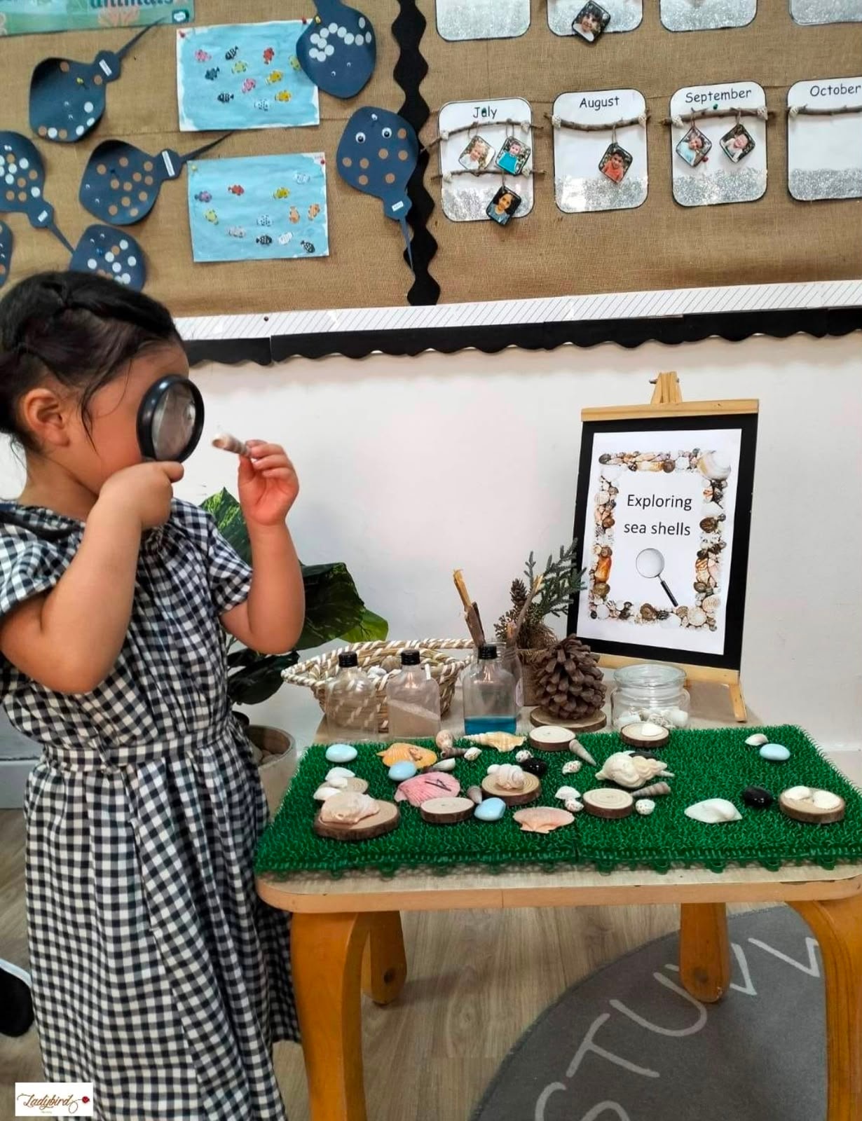 Child examining sea shells with a magnifying glass